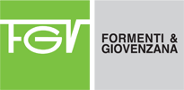 fgv_logo.png